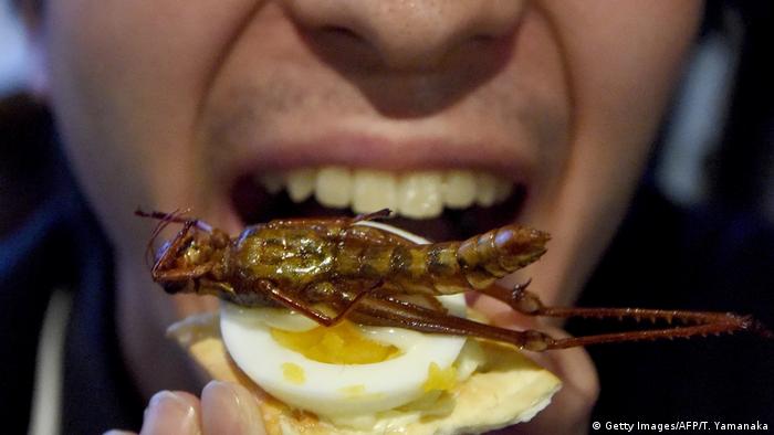 A man tries to eat a canape with a fried locust