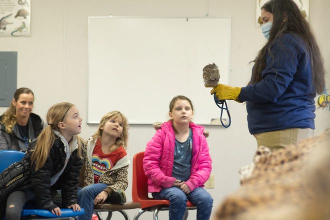 Hunter Mangel, educational specialist with the Topeka Zoo, shows off a snowy peak owl to Pauline Elementary School students Wednesday at the USD 437 environmental laboratory.