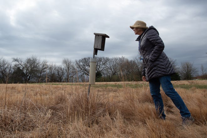 Donna Sanders, coordinator for Auburn-Washburn USD 437 Outdoor Environmental Education program, peers into a bird's nest off one of the lab's trails Wednesday.