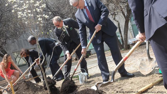 Diplomats plant a tree at the UN in New York