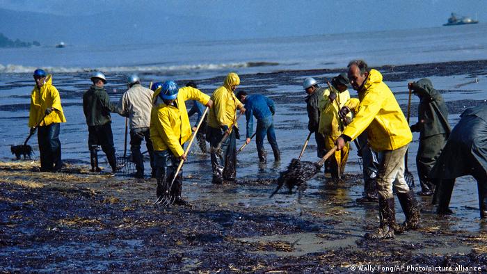 A forestry crew cleans oil from the sea in Santa Barbara in 1969