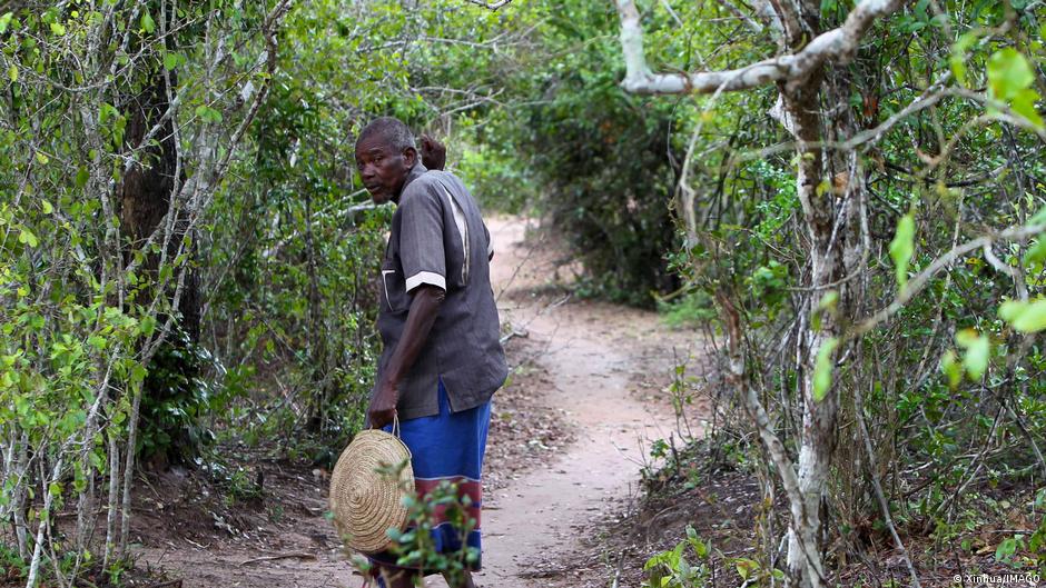 A Mijikenda elder walks into the Sacred Mijikenda Kaya Forests in east Kenya