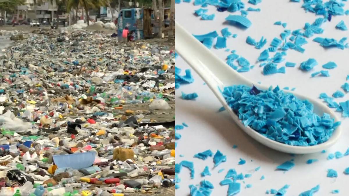 Click to play video: 'Biodegradable solutions to worlds plastic problem emerging from natural world'