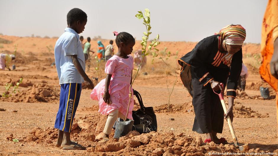 People plant trees on the outskirts of Khartoum, Sudan