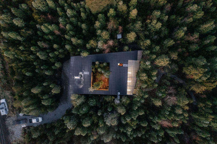 Houses in the Forest: Examples That Dialogue with the Environment in Latin America, Casa un patio / Lucas Maino Fernandez. Image  Marcos Zegers