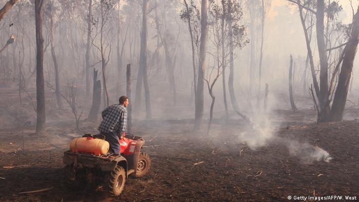A man on a quad inspects a still smoking forest after a bushfire burned much of it down.