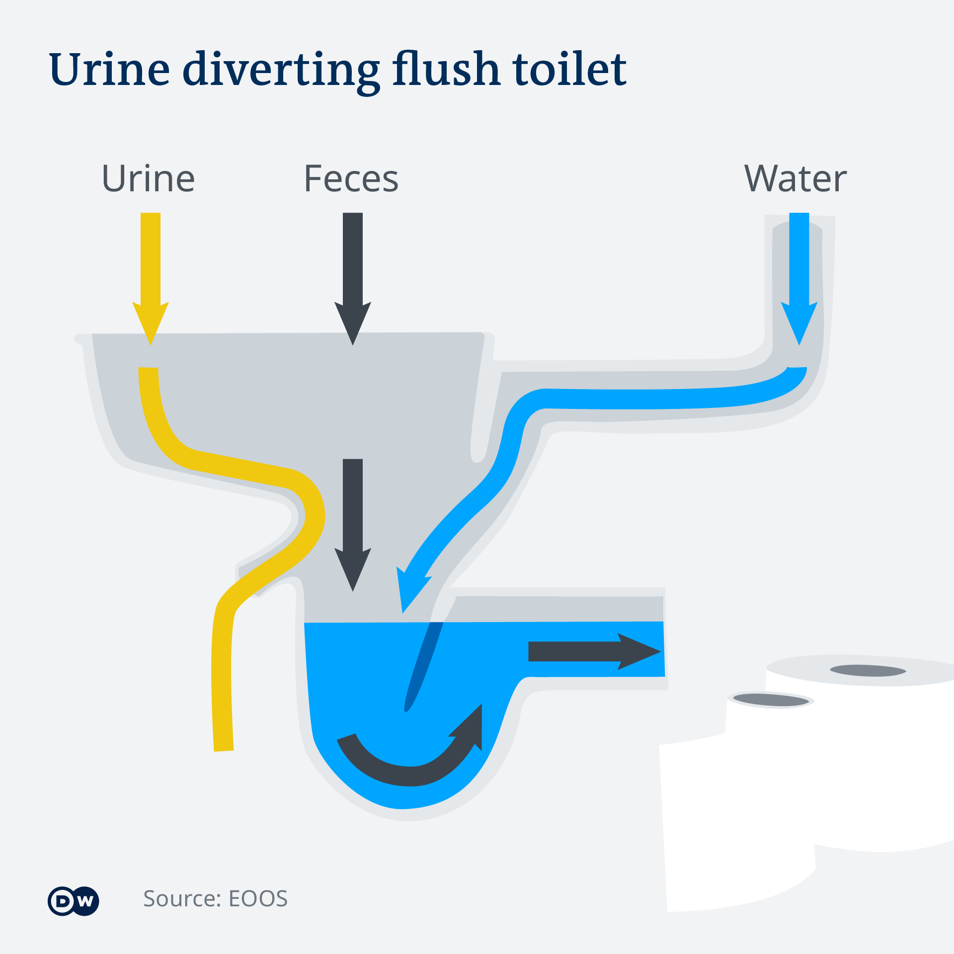 A graphic showing how urine diverting flush toilets work