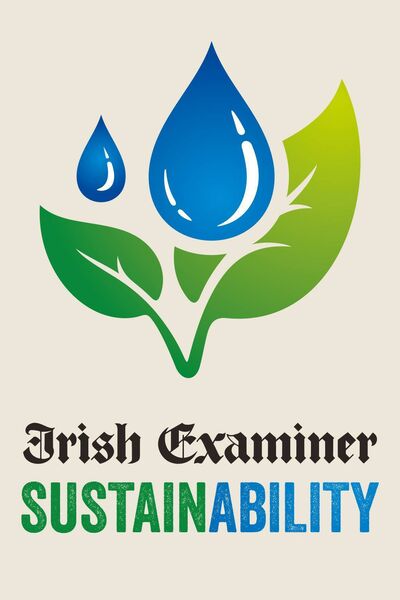 Irish Examiner sustainability logo 2022